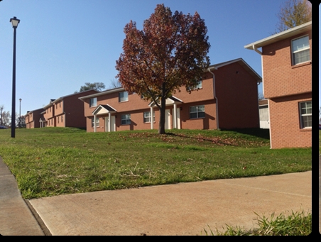 Photo - Birch Tree Apartments