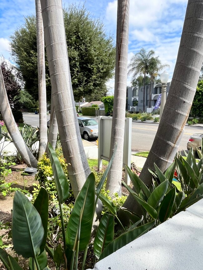 Photo - Chateau Studio Village Apartments