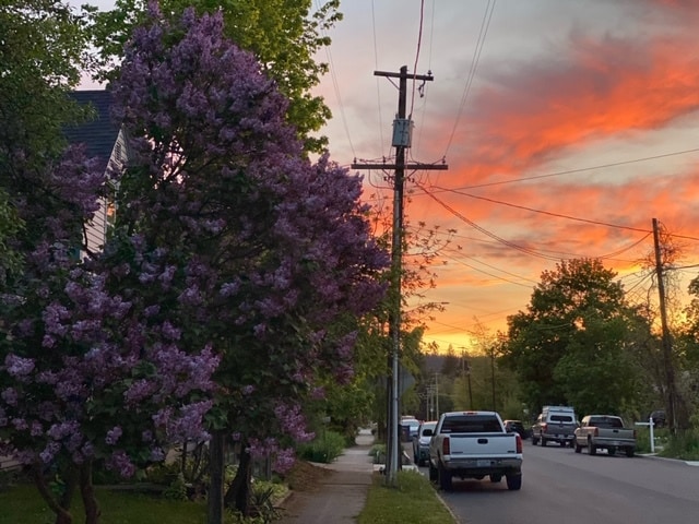 Photo - 1603 W Clarke Ave Unidad Peaceful Valley Studio