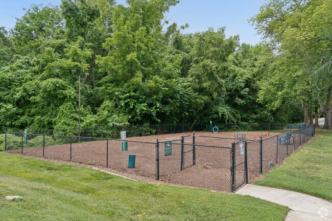 Dog Park
