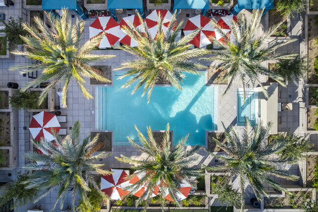 Resort-Style Swimming Pool and Spa - Broadstone 7th Street Apartments