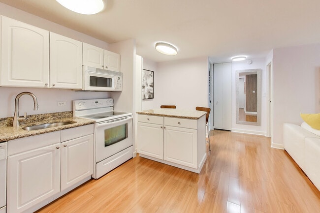 Photo - 1339 N Dearborn St Unit 10G