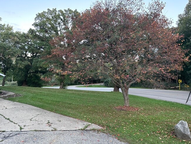 Photo - 1200 Algonquin Rd