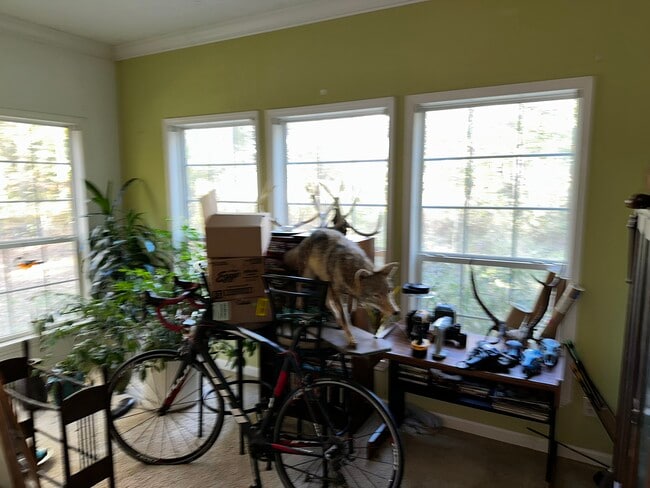 Photo - 2290 Ashland Rd