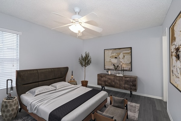 Photo - The Social Apartments