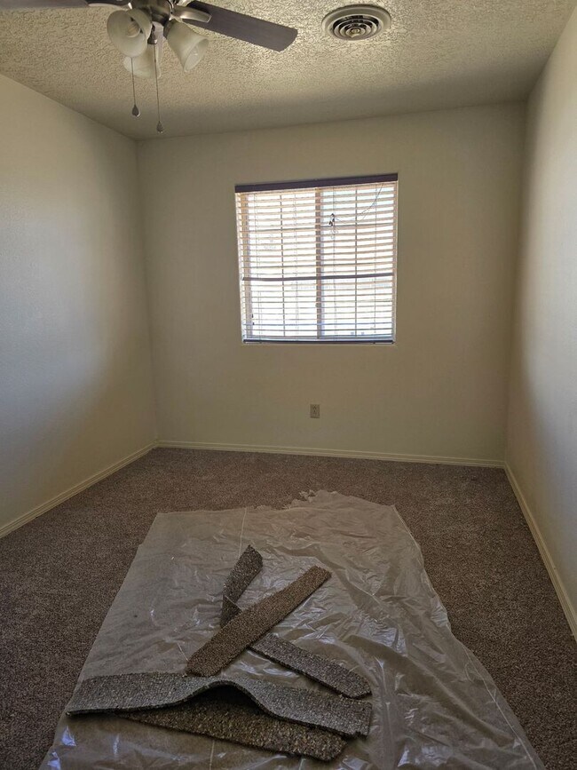 Photo - 3 Bedroom in Bloomfield