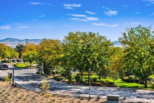Photo - Springtree Apartments
