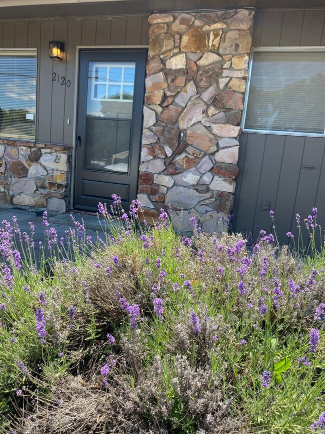 Building Photo - Cozy 2 Bedroom, 1 Bathroom Apartment in The Dalles