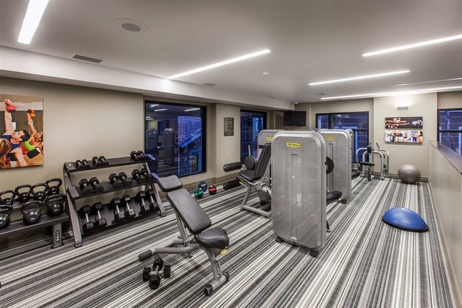 Free weights and strength training equipment