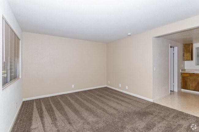 Studio 368 SF