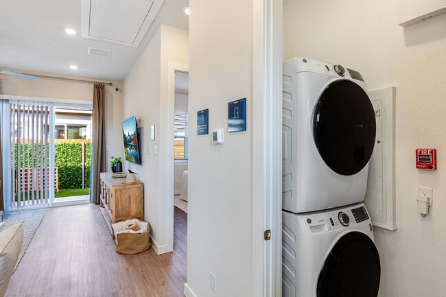Yardly Beltmill apartments — community photo