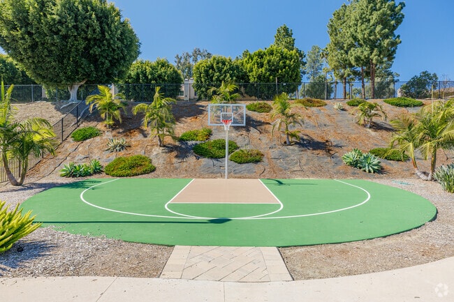 Basketball Court