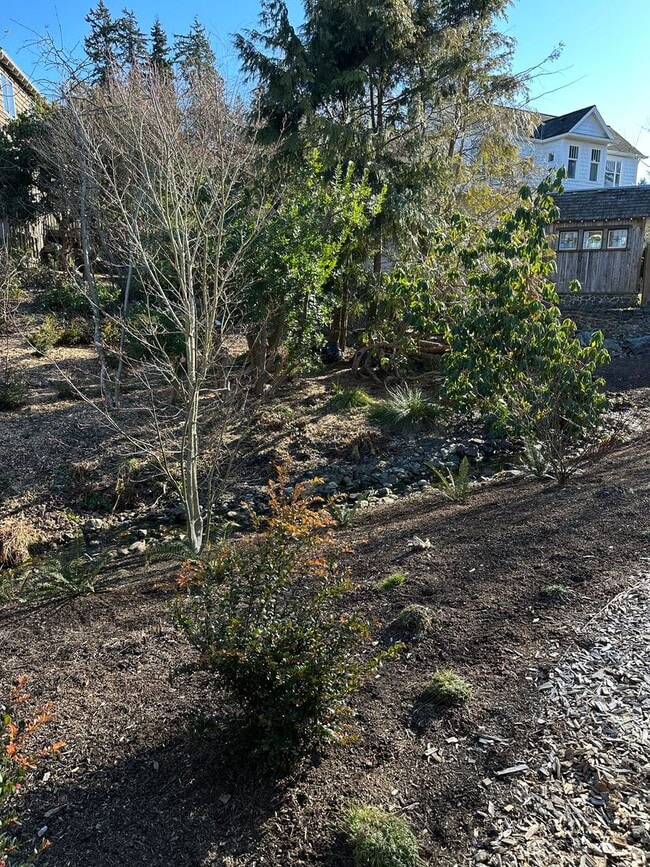 Photo - 2 bedroom 1 bath daylight basement unit in the heart of Edmonds