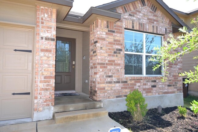 Photo - 15525 Gray Catbird