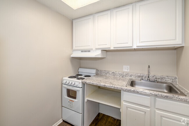 1BR Studio - 290SF - Kitchen