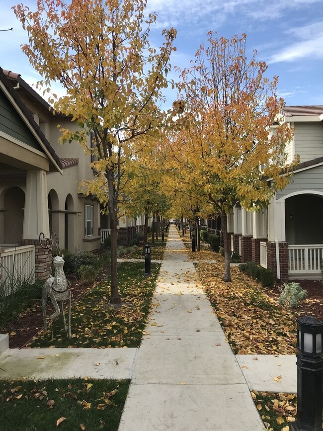 Photo - Two story home in Mountain House!