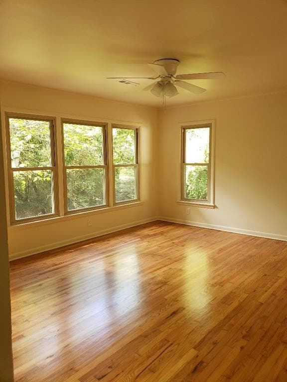 Photo - 911 E Rodgers Dr