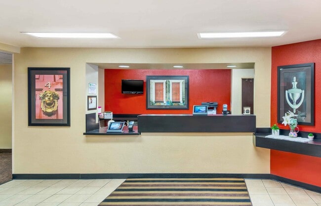Furnished Studio-Tampa - North - USF-Attractions