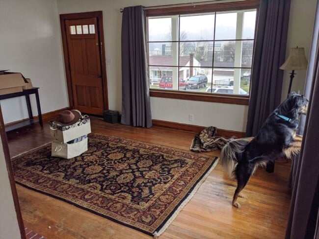 Photo - Sweet House with Privacy Fenced Backyard! Walk or Bike to ETSU Medical School & Pharmacy School &...