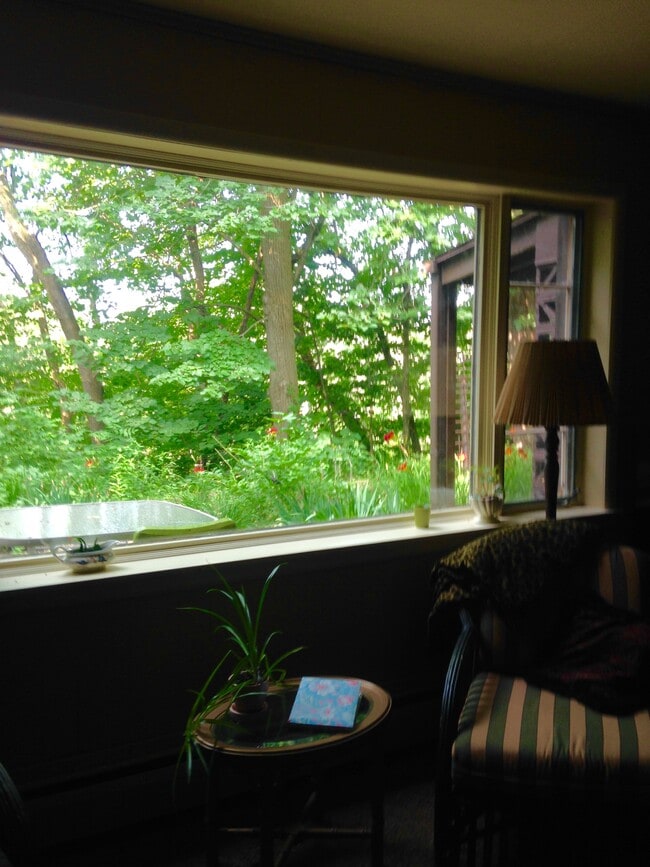 Large window overlooking the woods - 5309 N River Rd Unit Lower level