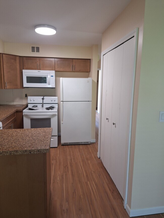 Kitchen (Still in Progress) - 24361 Bashian Dr Unit 24361 Bashian Drive