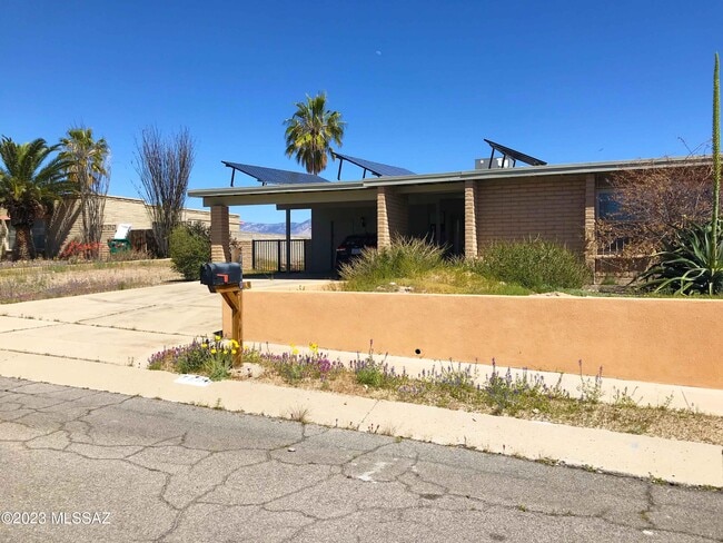 Photo - 7800 N Nicole Pl