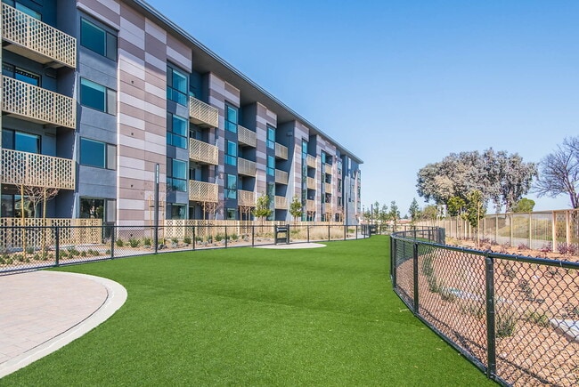 Photo - Mylo Santa Clara