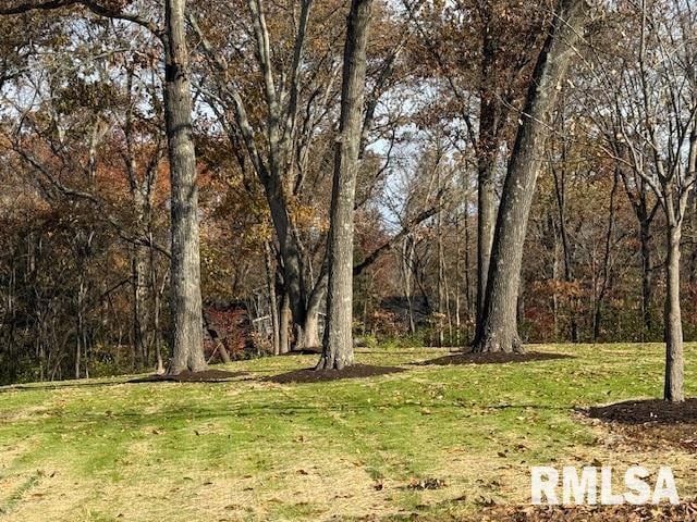 Photo - 16429 N Hawthorne Ln