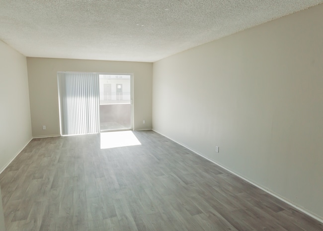 Photo - Spectra Palms