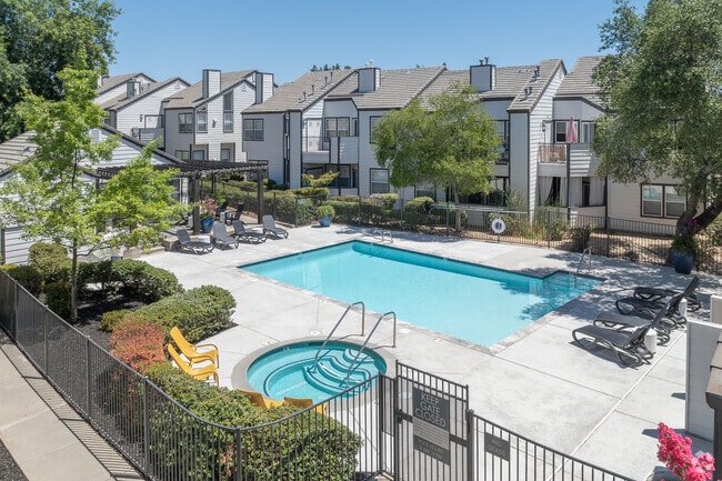 Área de la piscina - The AVA Apartments