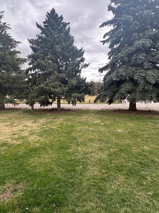 Photo - 3 Bed 2 Bath Single Family Home with Additional Space in Basement!