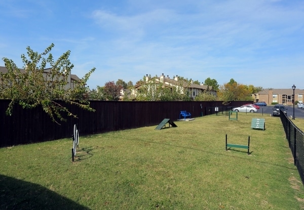 Bark Park