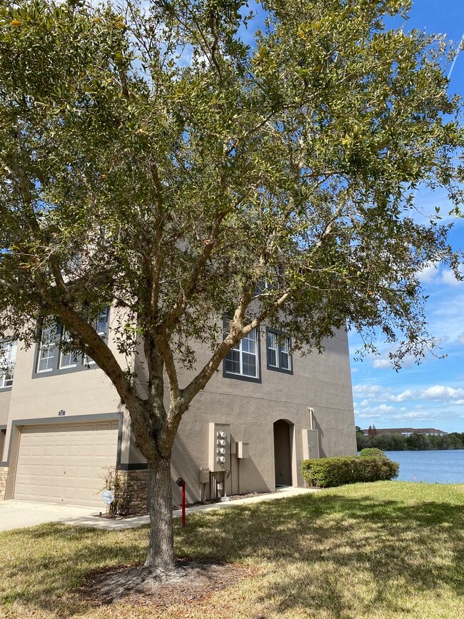 Photo - 2517 Lexington Oak Dr