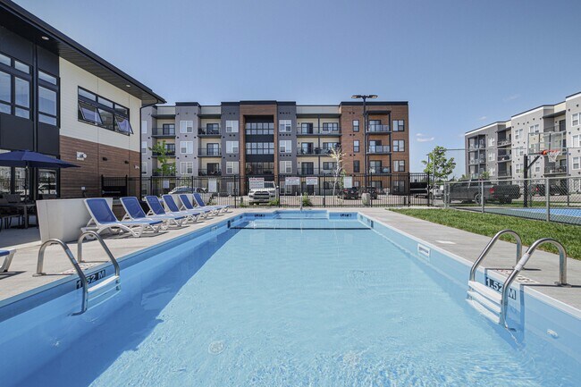 Photo - Luna at Aurora