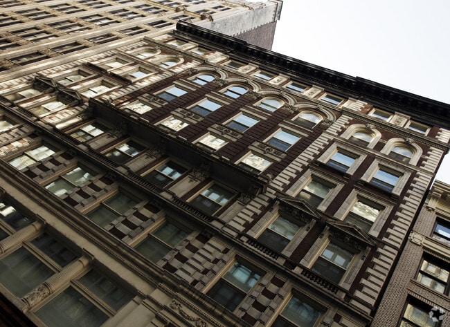 Photo - The Bullmoose