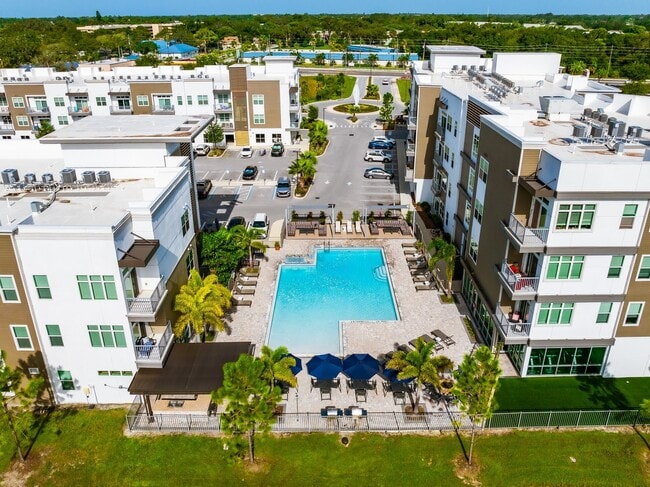 10X Tarpon Springs