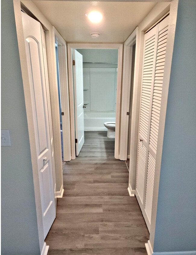 Drexel Court Apartments Land O Lakes, FL