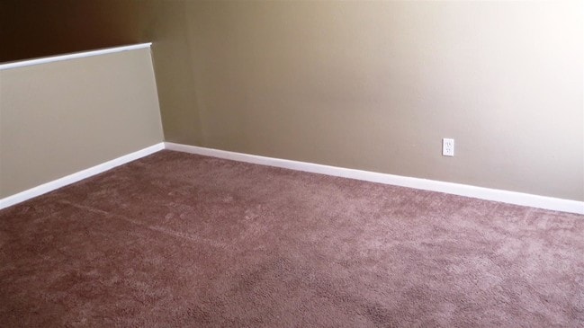 Photo - Haltere at Monroe