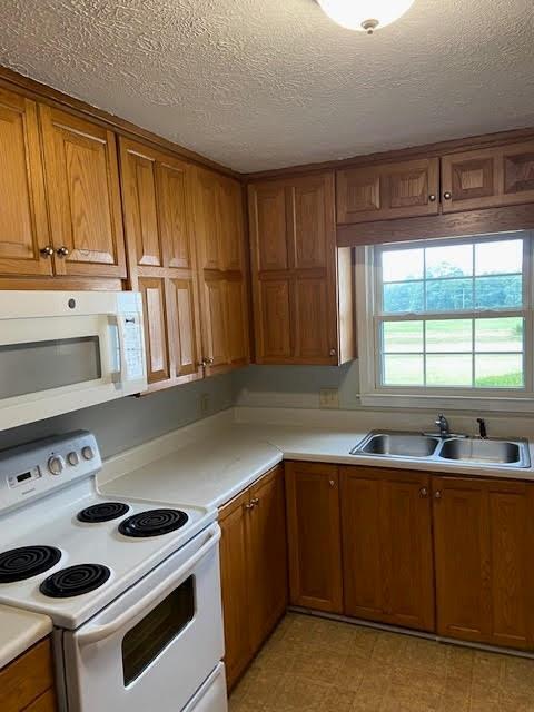 Photo - 722 Old Hog Mountain Rd