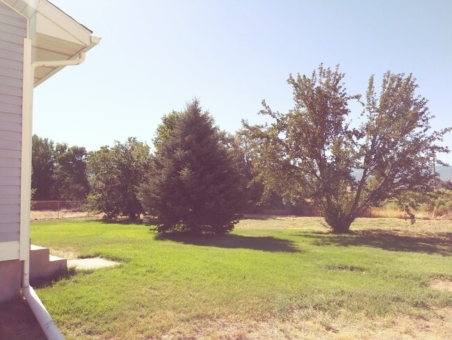 Backyard Southeast view - 4117 W 475 N Unit House