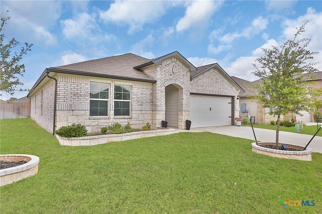 Photo - 801 Cinnamon Teal