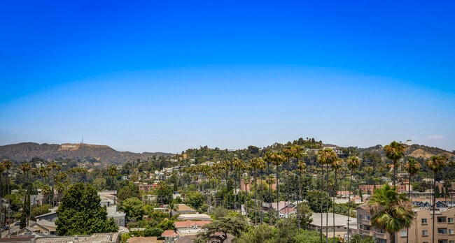 Photo - Fusion Hollywood