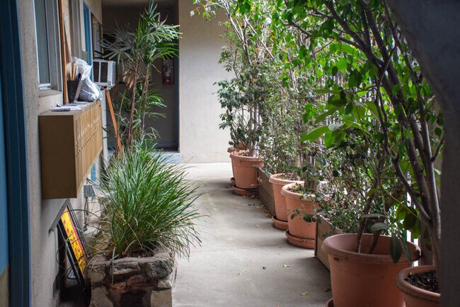 Photo - National-10300