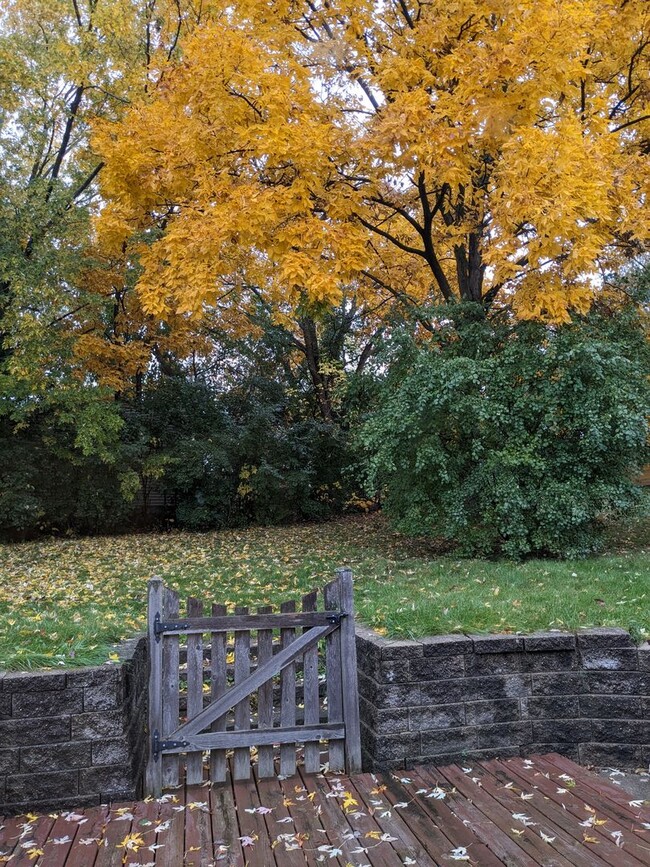 Building Photo - 3 Bedroom 1.5 Bathroom Single Family