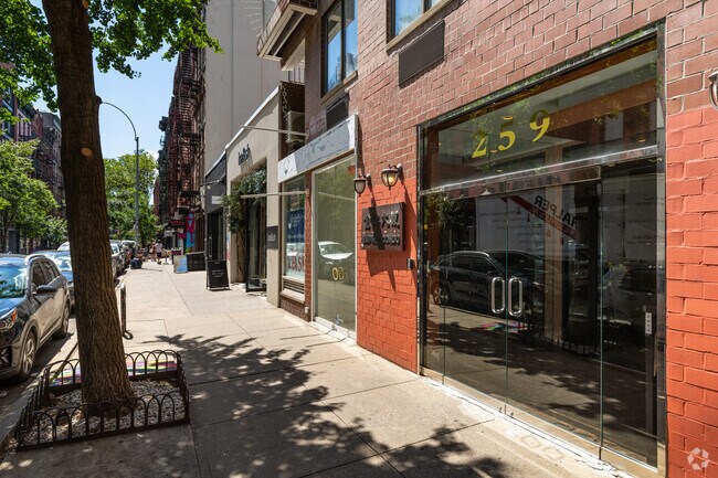 Entrance - 259 Elizabeth St