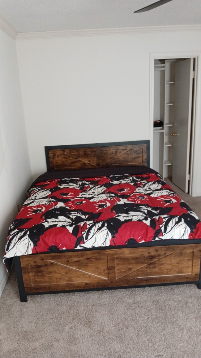 Photo - 4213 Pin Oak Rd