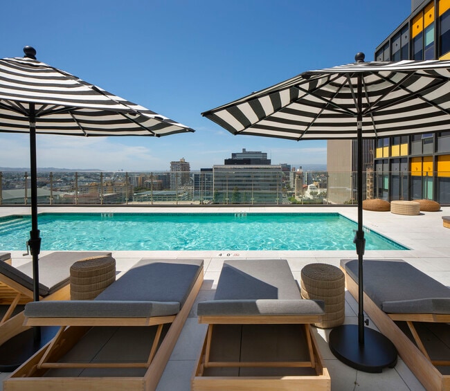 10th Floor Pool Deck