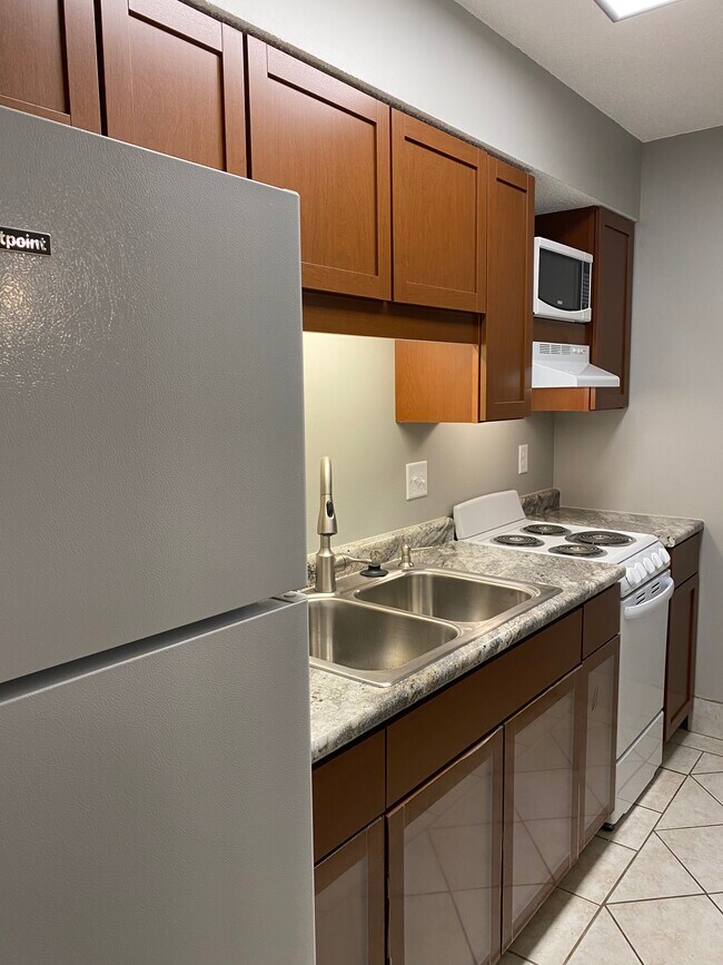 Updated modern kitchen - 919 Massachusetts St Apartments Unit C