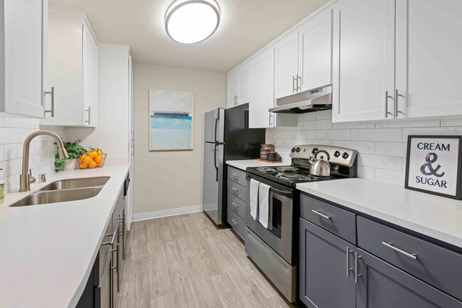Skyview 3322 apartments — community photo