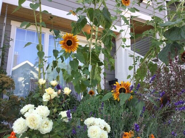 Front Of Apartment - 2411 Peabody St Unit 1